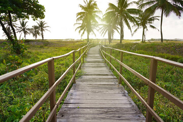 Footbridge to the beach with palm trees in Aracaju, Sergipe, Brazil