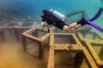 Marine biologist examining new concrete coral reef constructions underwater