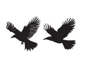 The bird's silhouette conveys a sense of freedom and elegance