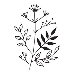 Minimal botanical graphic sketch drawing