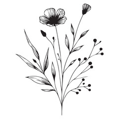Minimal botanical graphic sketch drawing