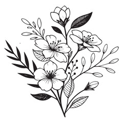 Minimal botanical graphic sketch drawing