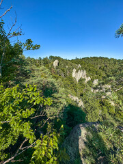 landscape with trees