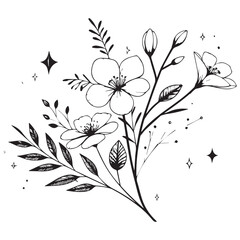 Minimal botanical graphic sketch drawing