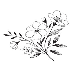 Minimal botanical graphic sketch drawing