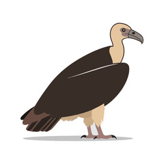 Flat vector illustration of a stylized vulture with dark brown body, bald head, and large wings, minimalistic design, plain white background