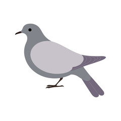 Flat vector illustration of a stylized mourning dove with gray body, lavender wings, and long tail, minimalistic design, plain white background