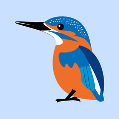 Flat Vector Illustration of Colorful Kingfisher with Blue and Orange Feathers