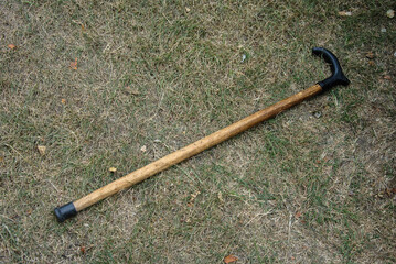 an old wooden walking stick lies on the grass