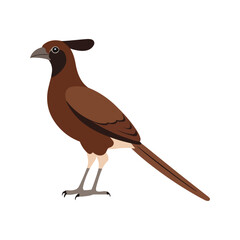 Flat vector illustration of a stylized Andaman coucal with brown body, long tail, and curved beak, minimalistic design, plain white background