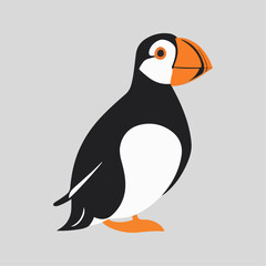Flat vector illustration of a stylized Atlantic puffin with black body, orange beak, and white belly, minimalistic design, plain white background