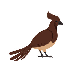 Flat vector illustration of a stylized Andaman coucal with brown body, long tail, and curved beak, minimalistic design, plain white background