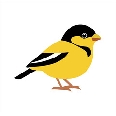 Flat Vector Illustration of Vibrant American Goldfinch with Black Wings and Yellow Body