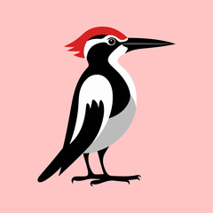 Flat Vector Illustration of Woodpecker with Bold Red Head Patch and BlackWhite Body