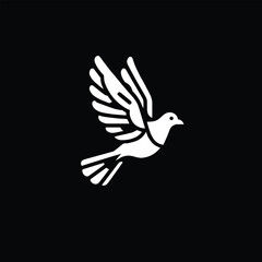 Single white pigeon flying in black background