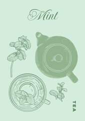 Hand drawn vector tea poster. Illustration with a top view mint tea mug and pot. Design ready to be used in online and print projects for bar or cafes such as menus or posters.