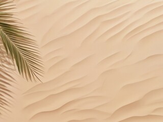 Concepts for summer and holiday backgrounds featuring a coconut leaf shadow on a beach with fine sand
