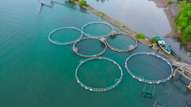Fisheries on Luzon Island, Philippines. Fish farm, top view. Aerial view of fish ponds for bangus, milkfish.