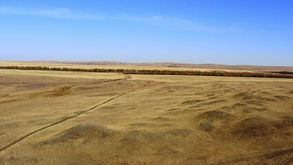 A vast and expansive desert landscape featuring a clear blue sky stretched above it. Stock Clip