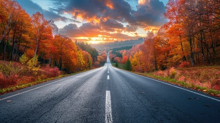 Fototapeta premium Scenic autumn road through vibrant forest at sunrise.