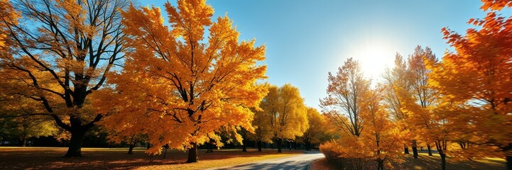 Naklejka premium Bright autumn day with vibrant foliage lining a serene pathway under clear blue skies