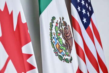 Bandera de Mexico 