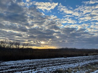 Early winter scene with the first snow covering a plowed field, leafless trees and bushes in the background, and a golden sunset breaking through picturesque cumulus clouds