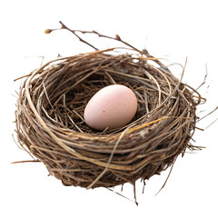 Single Egg in a Natural Bird's Nest isolated on transparent background cutout, Png, Cutout