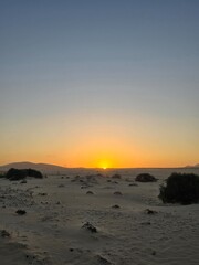 sunset on the beach © Stefhany