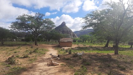 casa com pedra do cachorro sentada ao fundo no vale do catimbau, pernambuco