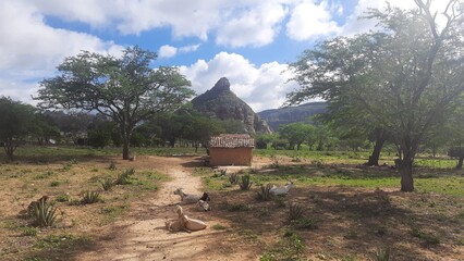 casa com pedra do cachorro sentada ao fundo no vale do catimbau, pernambuco