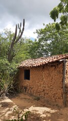 casa de pau a pique no sertão nordestino
