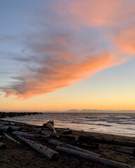 Pink sunset over the ocean