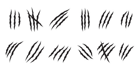 animal Claw scratches mark set. Cat tiger scratches paw shape. Intricate claw silhouettes, Cracks form animal claw scratches, wild beast paw marks with sharp fissures texture,