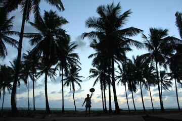 coqueiral em maracaípe, pernambuco