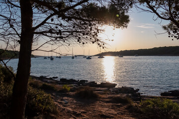 Silhouette of sailboats peacefully anchored in calm waters of Uvala Portic, Kamenjak National Park. Warm golden sunrise glow on coastline of Adriatic Mediterranean Sea in Premantura, Istria, Croatia