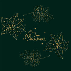 A Christmas card. Vector illustration on a dark green background with golden branches of holly and poinsettia
