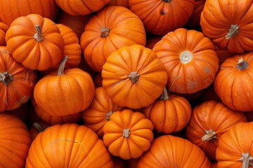 Vibrant orange pumpkins arranged together, showcasing the bounty of autumn harvest at a local farm stand in October
