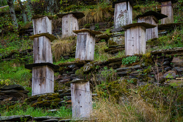 traditional wooden beehives, Santiago de Peñalba village, Aquilianos mountains, Bierzo region, Castile and Leon, Spain