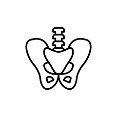 Pelvic area icon Thin line art collection