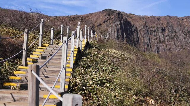 Hallasan National Park, Jeju island, South Korea, spring view of Yeongsil trail with a wooden ladder path stairs, trekking and climbing, stairway to Halla mountain, hiking in Korea, Jeju-do, sunny day