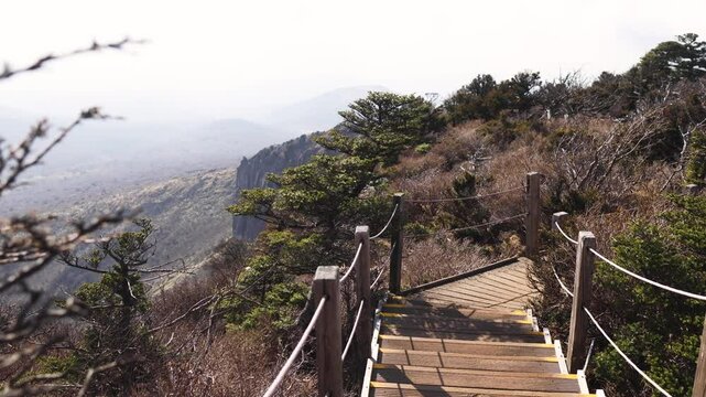 Hallasan National Park, Jeju island, South Korea, spring view of Yeongsil trail with a wooden ladder path stairs, trekking and climbing, stairway to Halla mountain, hiking in Korea, Jeju-do, sunny day