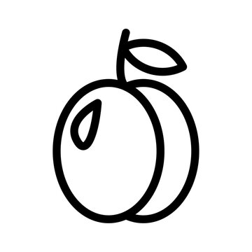 recommend clip art: Apricot icon Thin line art collection
