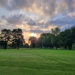 Golf Course in the Morning
