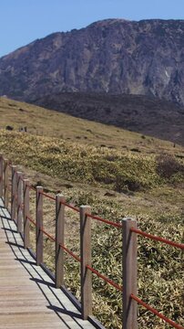 Hallasan National Park, Jeju island, South Korea, spring view of Yeongsil trail with a wooden ladder path stairs, trekking and climbing, stairway to Halla mountain, hiking in Korea, Jeju-do, sunny day