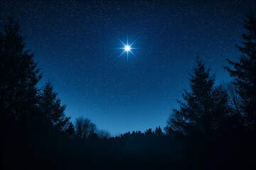 A clear, starry sky with one particularly bright star, symbolizing a lost loved one's presence and legacy