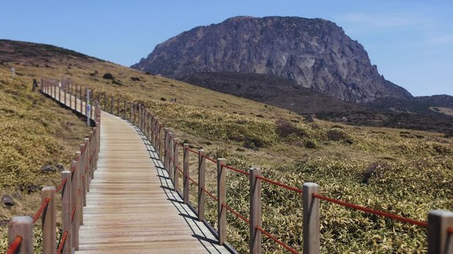 Hallasan National Park, Jeju island, South Korea, spring view of Yeongsil trail with a wooden ladder path stairs, trekking and climbing, stairway to Halla mountain, hiking in Korea, Jeju-do, sunny day