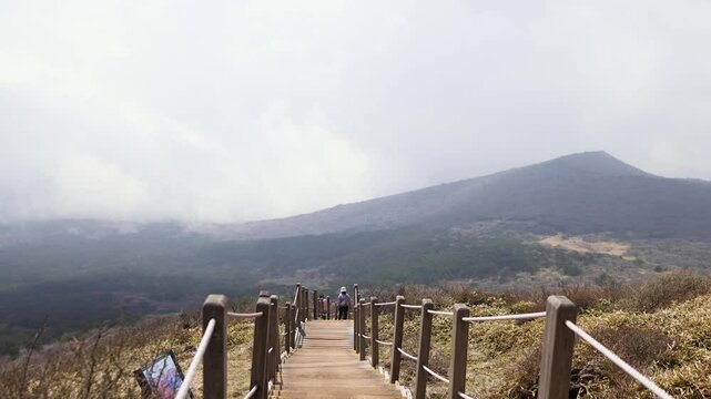 Hallasan National Park, Jeju island, South Korea, spring view of Yeongsil trail with a wooden ladder path stairs, trekking and climbing, stairway to Halla mountain, hiking in Korea, Jeju-do, sunny day