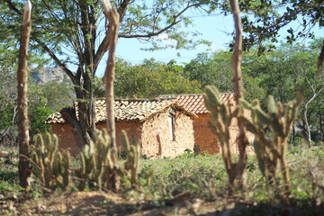 casa de pau a pique no sertão nordestino 