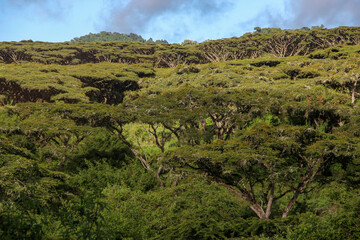 Village in Tanzania, scenic landscpape of Africa.